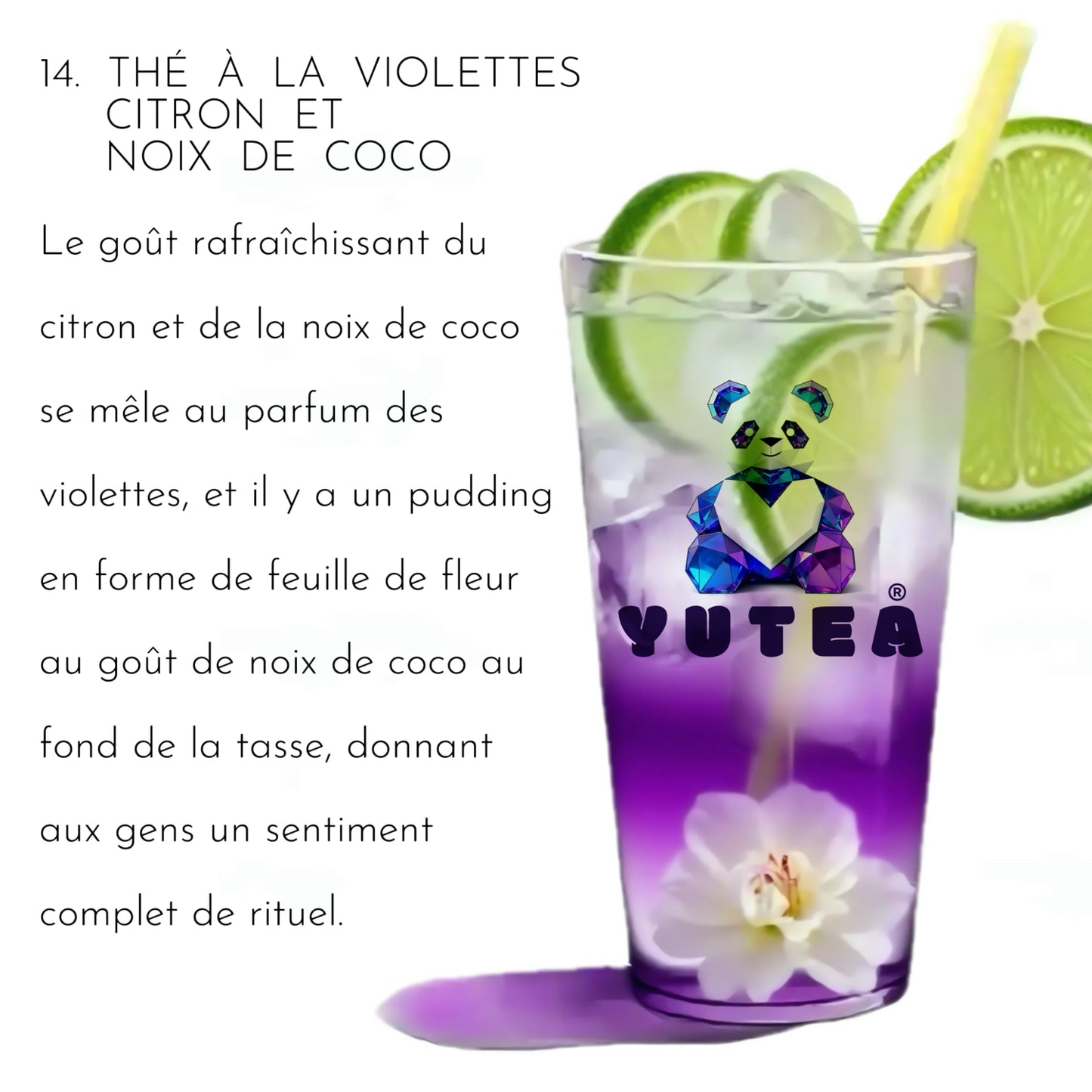 《 LIMITE  QUOTIDIENNE  20 》